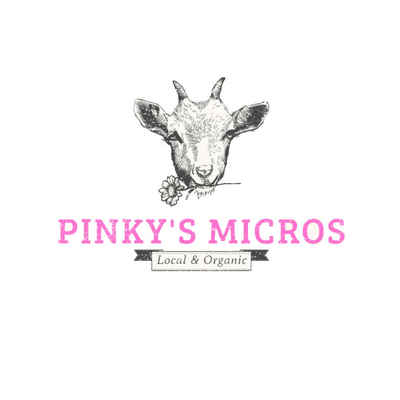 Pinky's-mirco-logo-ig_(1)