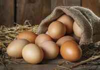 Eggs_grouping