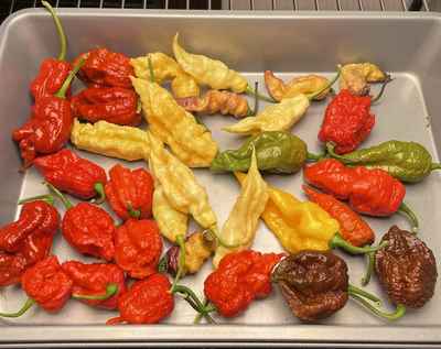 Hot_peppers