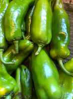 Cubanelle_peppers