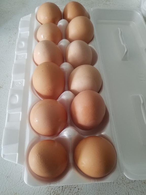 Milton & Goose Half Dozen Eggs Natural