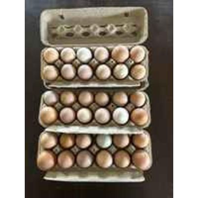 Sunshine Farms - Local Grower