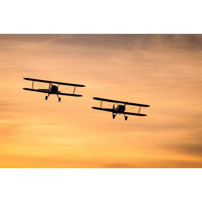 Tailwynds Farm - Local Grower