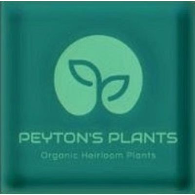 Peyton's Plants - Local Grower
