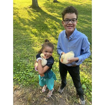 Manna Farms - Local Grower