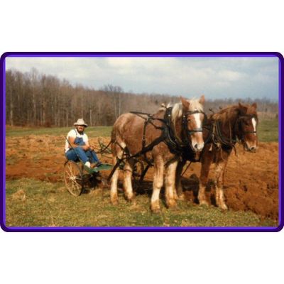 Rainbow Hill Farm - Local Grower